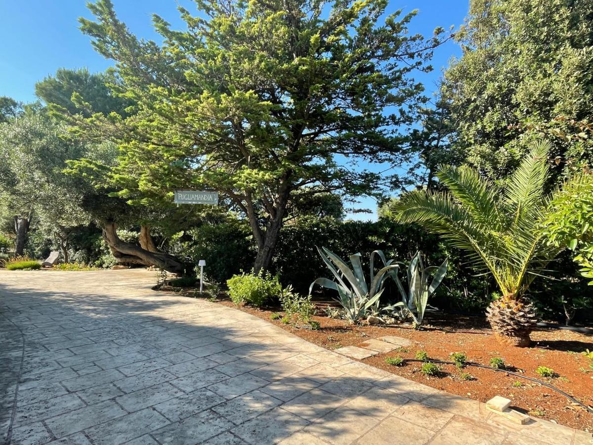 Villa Pugliamandia Monopoli Exterior foto